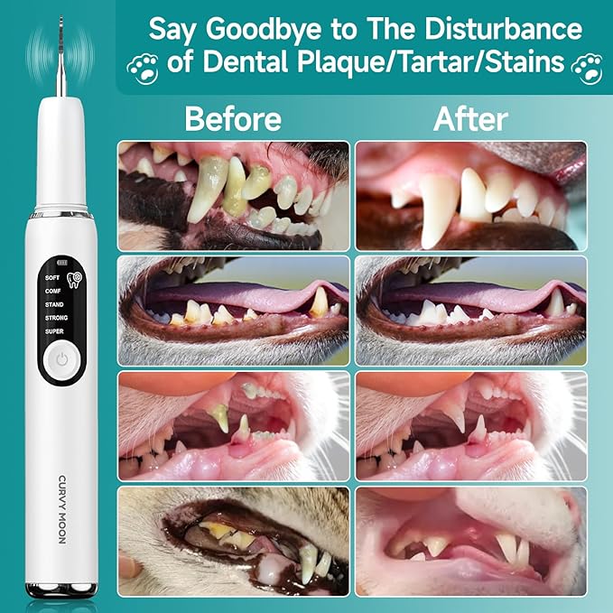 Jellytree Dog Plaque and Tartar Remover,Dogs Teeth Cleaning Kit with Led Light,5 Modes Dog Tooth Plaque Remover,Tooth Cleaner for Dogs and Cats,Low Noise Tartar Remover for Teeth,