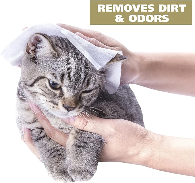 Wahl USA Cat Refresh Cleaning Wipes with Oatmeal Formula to Refresh and Clean Dirty Cats - 50 Count - 820017-500