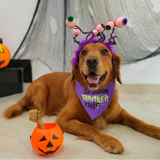 Halloween Dog Bandanas with So Franken Cute Sign, 5-30lbs Pet