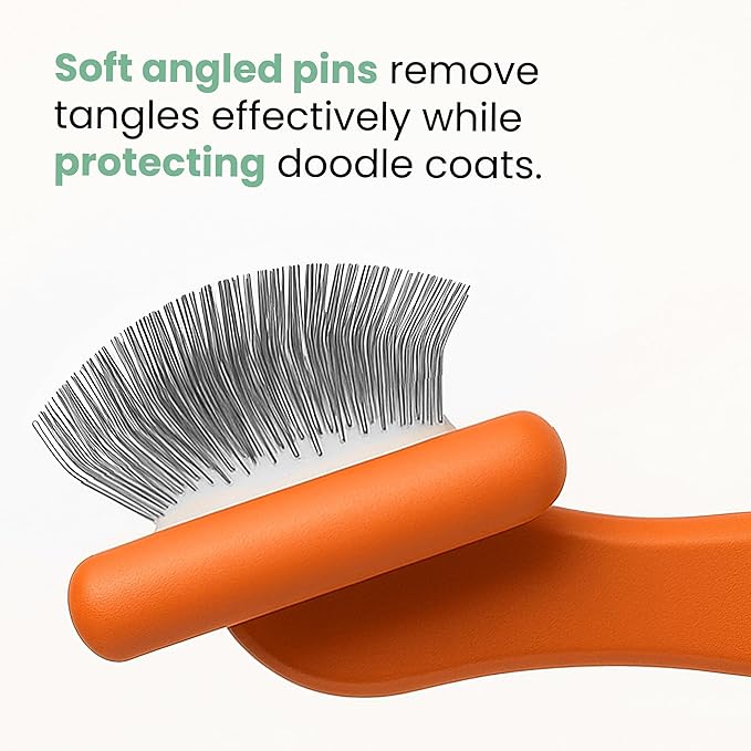 Slicker Brush for Dogs - Goldendoodle Brush with Poodle Comb and Cases Included - Goldendoodle Must Haves Grooming Tools - Designed for Doodles, Labradoodles, Bernedoodles - Medium - Orange