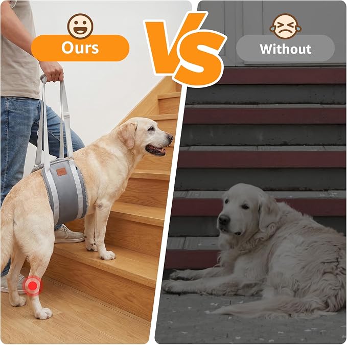 Adjustable Dog Sling for Large Dogs Hind Leg Support Weak Legs Mobility Aid | Dog Lift Harness, Helps Seniors, Injured, Disabled and After ACL Surgery Dogs, Daily Walk/ Stairs, Soft Padded, Easy to Use