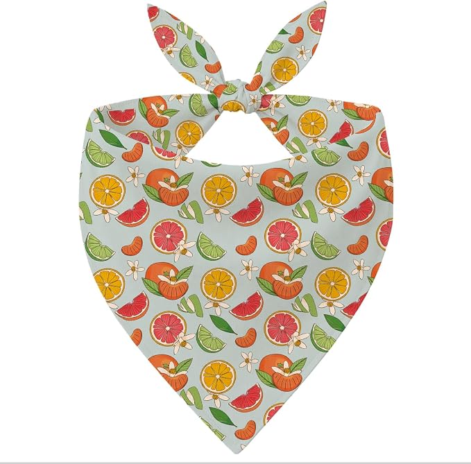 Mixed Fruit Dog Bandana, Citrus Berry Pattern Pet Triangle Scarf for Small Medium Dogs, Cute Puppy Bandana for Daily Wear Walks Picnic Birthday Party Family Photos