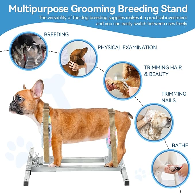 Dog Breeding Stand, Stainless Steel Breeding Stand for Dogs, Shoulder Height 5.9 IN - 13.8 IN,Pet Fixed Bracket for Small Dogs,Adjustable Height and Length,Strong Grooming Breeding Stand (S)