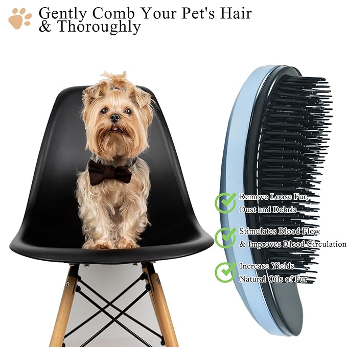 Small Dog Brush, Soft Pet Grooming Brush for Shih Tzus, Yorkies, Maltipoos, Maltese, Puppy Massaging Hair Brush, Cat Brush, for Small Animals Rabbits of All Hair Types (Gradient blue)