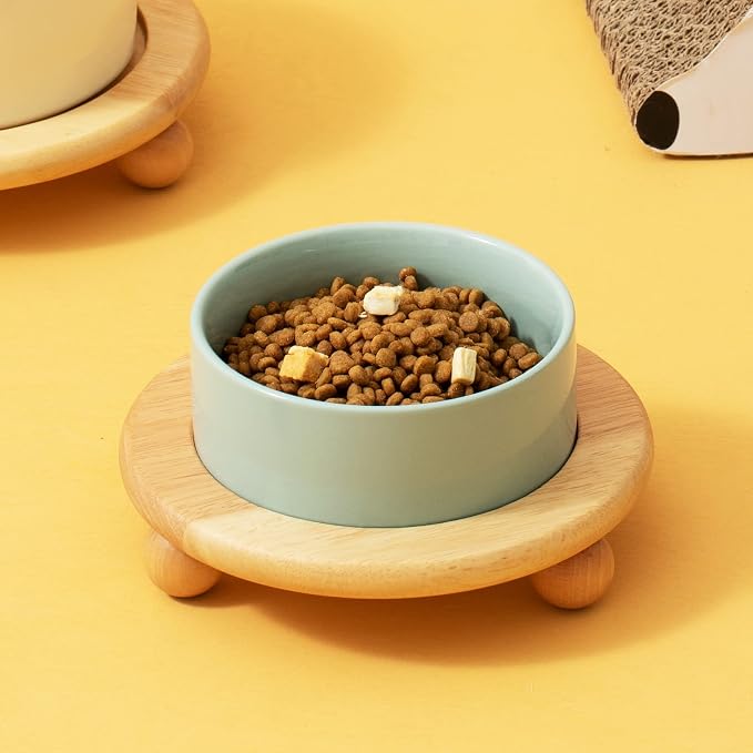 Havniva Raised Cat Bowl 6.1” Elevated Ceramic Cat Food and Water Bowl | Cat Bowls Elevated, Whisker Friendly Cat Bowl, Non-Slip Wood Stand, Food-Grade Ceramic, Wide Opening, Dishwasher Safe