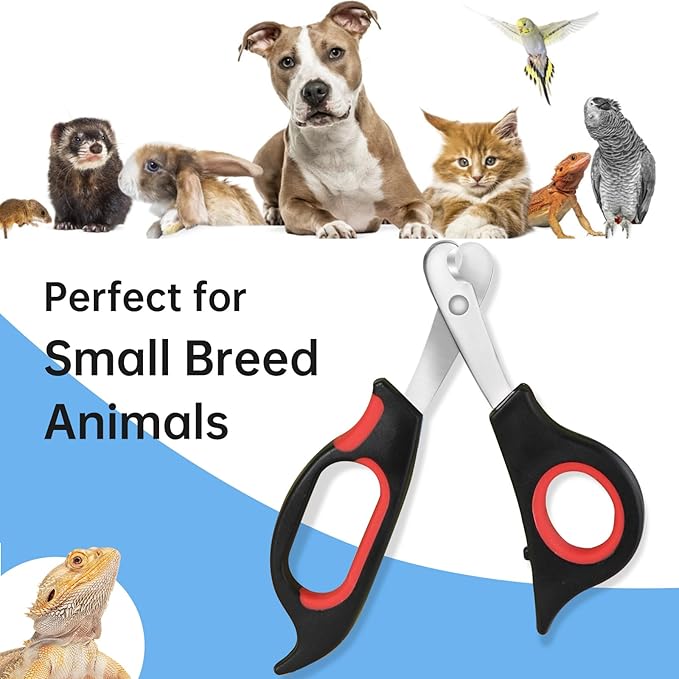 KEUYE Bearded Dragon Nail Clippers,Stainless Steel Bearded Dragon Toe Nail Clippers with Precise Angled Edges (Reddish Black)