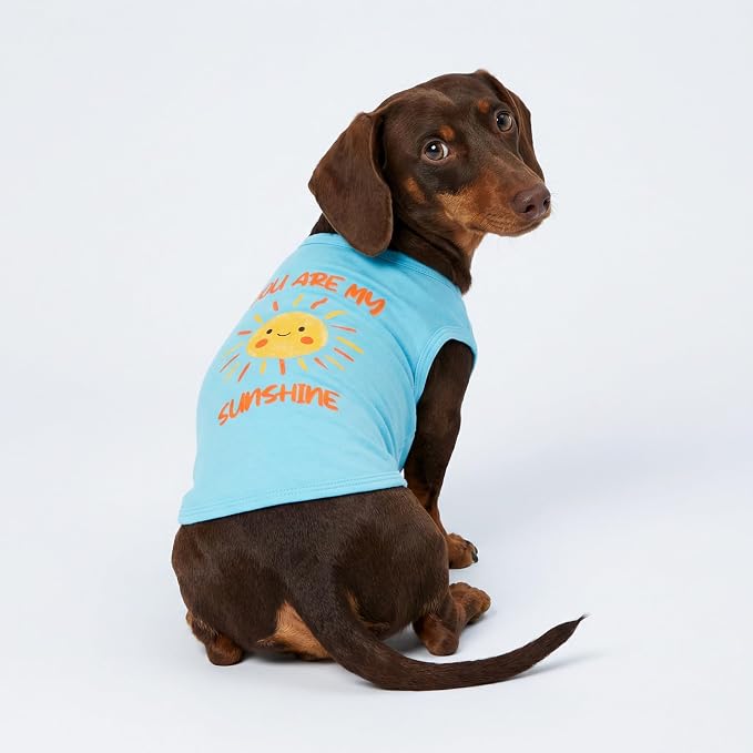 Fitwarm You are My Sunshine Dog Shirt, Tropical Summer Clothes for Small Dogs Boy Girl, Funny Pet Outfit, Blue, Yellow, Large