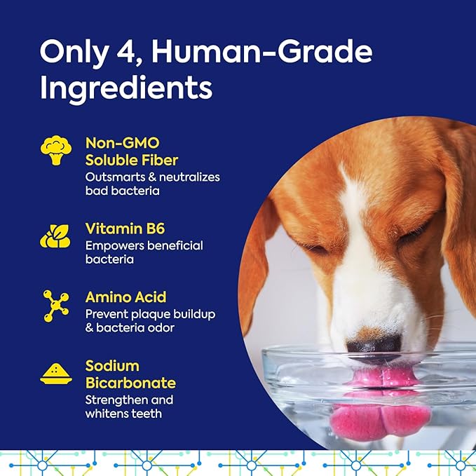TEEF FOR LIFE Protektin42 Prebiotic Dental Powder for Dogs, Plant-derived, Clinically-Proven Formula Naturally Fights Bad Breath, Plaque, and Tartar, Dental Kit with 90 Servings (3 Packets)