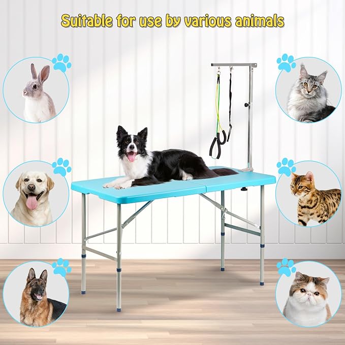 PKNYBZN 47'' Foldable Dog Grooming Table with Arm | Heavy Duty Pet Grooming Table for Dogs at Home with Adjustable Arm & Noose, Stainless Steel Professional Dog Show Blue