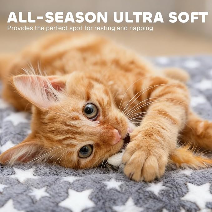 Mora Pets Cat Bed Ultra Soft Dog Crate Pad Star Print 14 x 17.5 inch Grey | Washable Crate Mat for Small Dogs and Indoor Cats, Reversible Fleece Dog Kennel Pad, Flat Pet Bed, Cat Carrier Mat