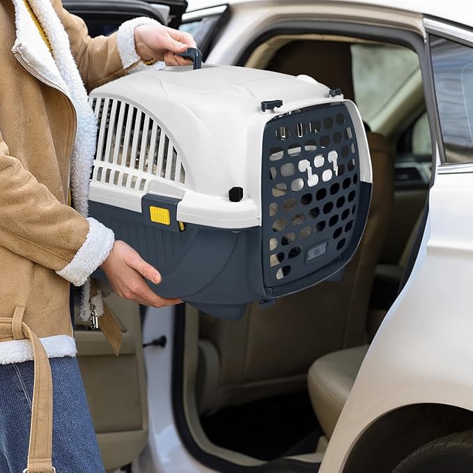 pet Travel Box