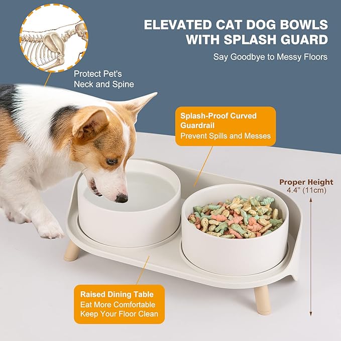 Elevated Ceramic Dog Bowl Set - Double Dog Feeding Bowls with Stand Splash Proof - Raised Dishes for Food and Water - Ideal for Small to Medium Dogs - 2 x 850 ml - 28.74 oz - White