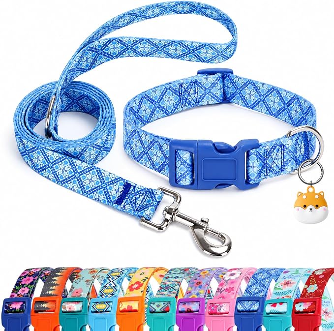Matching Dog Collar and Leash Set with AirTag Holder-Blue Geometry/M | Anti-Lost,Adjustable Durable Pet Collar Leash Combo for Medium Boy Girl Dogs,for Outdoor Walking Hiking Training Running