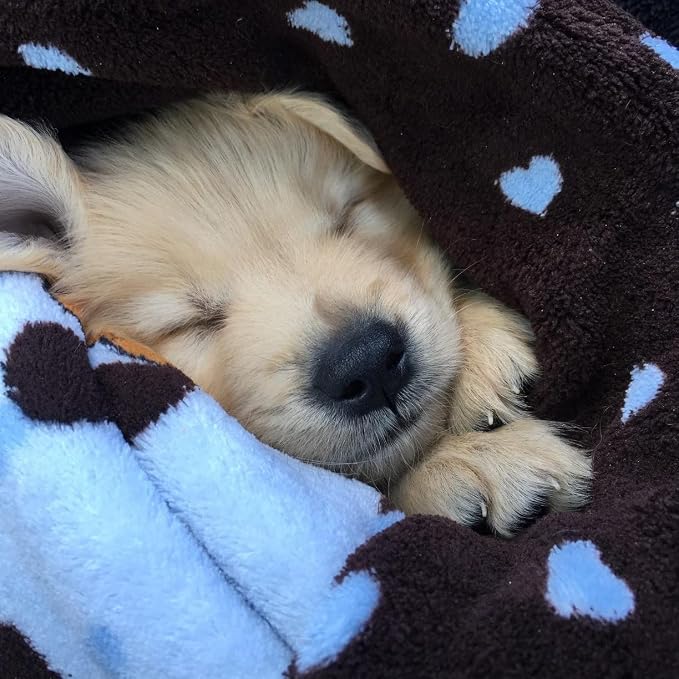 Snuggle Puppy Fleece Blanket for Dogs, Washable, 48 x 30 in - Blue