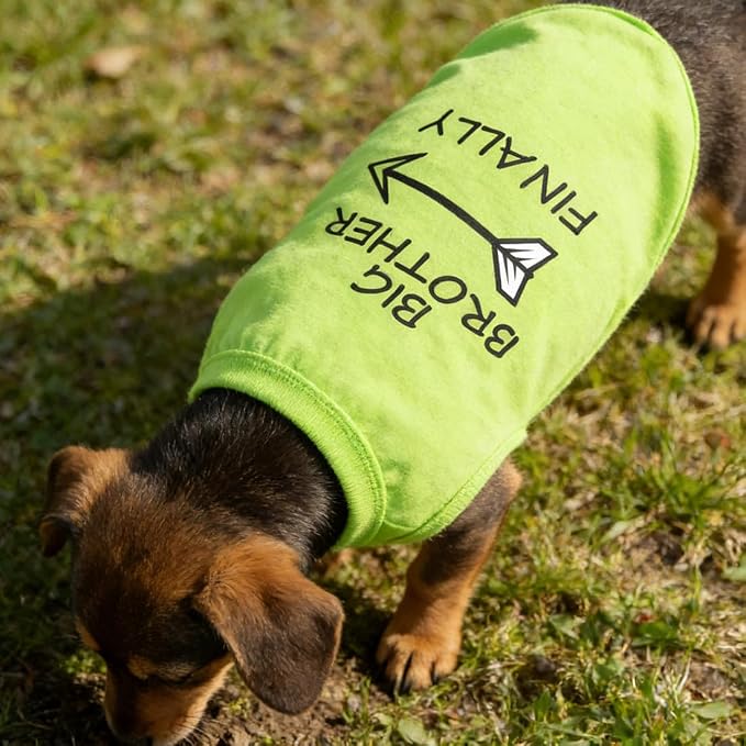 Cotton Dog Clothing for Small Dogs Cats Teacups Yorkie Teddy Kitten, Big Brother Print Pet T Shirt, Puppy Tee Tops Vest Clothes, Breathable Pet Apparel Outfits (Neck Girth 10.24'')