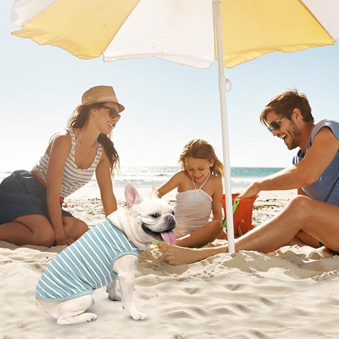 MIHACHI Dog Shirts Cotton Striped T-Shirt, Summer Pet Clothes for Small Dogs, 2-Pack Soft Puppy Apparel Cat Tee, Sleeveless Lightweight, Quick Dry, Breathable,Stretchy, Blue S