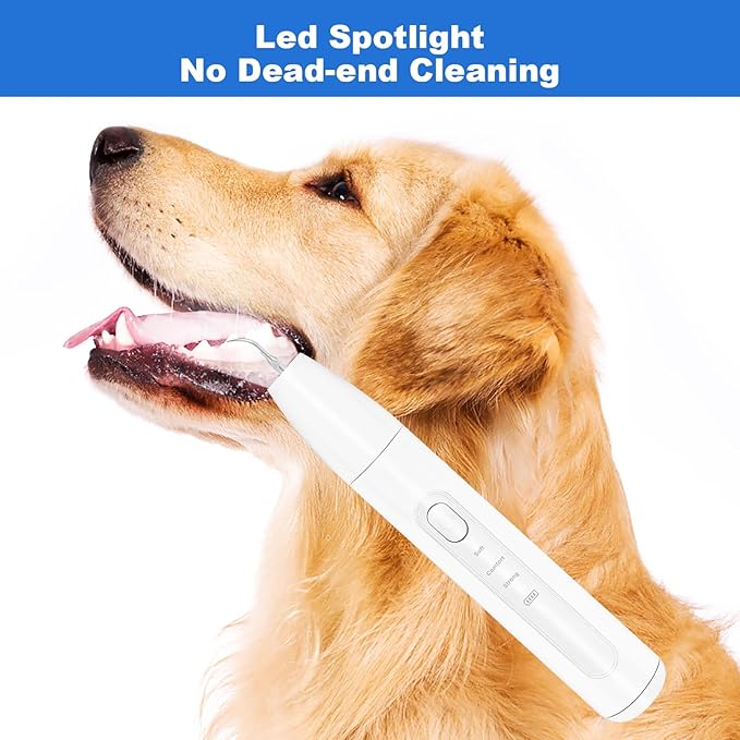 Rarepet Dog Teeth Cleaning Kit with Light, USB Rechargeable Dogs Tooth Brushing Kit, 3 Modes Doggie Toothbrush, Dog Plaque and Tartar Remover for Teeth, Low Noise Dog Teeth Cleaner, Pure White