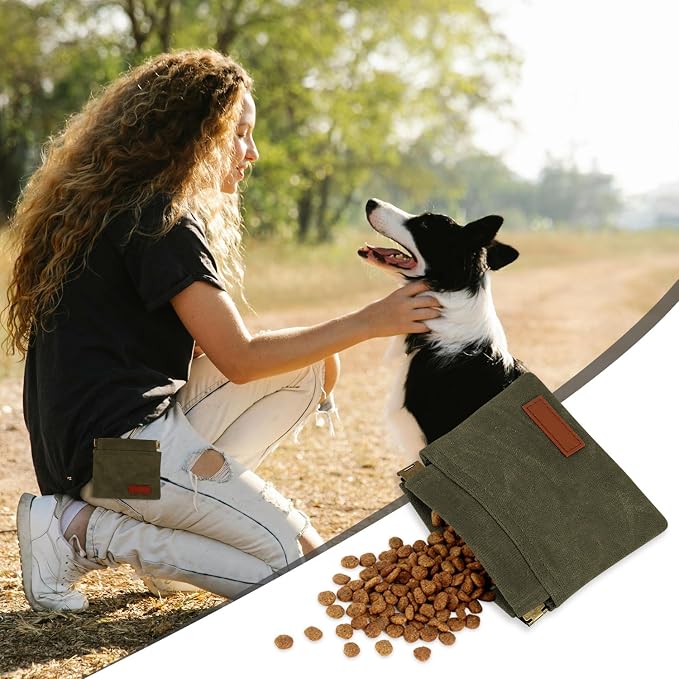 1 Pcs Pocket Pet Training Pouch,Dog Treat Pouch (Olive drab) | For Portable Pet Dog Walking Bag, Travel or Outdoor Use
