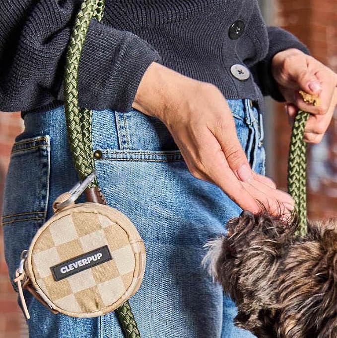 Cleverpup Snackpack Double Insulated Dog Treat Pouch – 1.5 Cup Capacity, 2 BPA-Free Waterproof Zipper Pockets, Carabiner for Belt/Leash – Compact Training & Travel Bag – Checkerboard