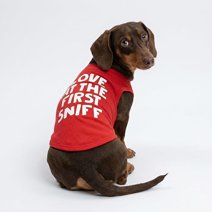Fitwarm Love at The First Sniff Shirt, Valentines Outfit, Summer Clothes for Small Dogs Boy Girl, Funny Tshirt, Lightweight Breathable Cotton, Pet Cat Outfit, Red, XL
