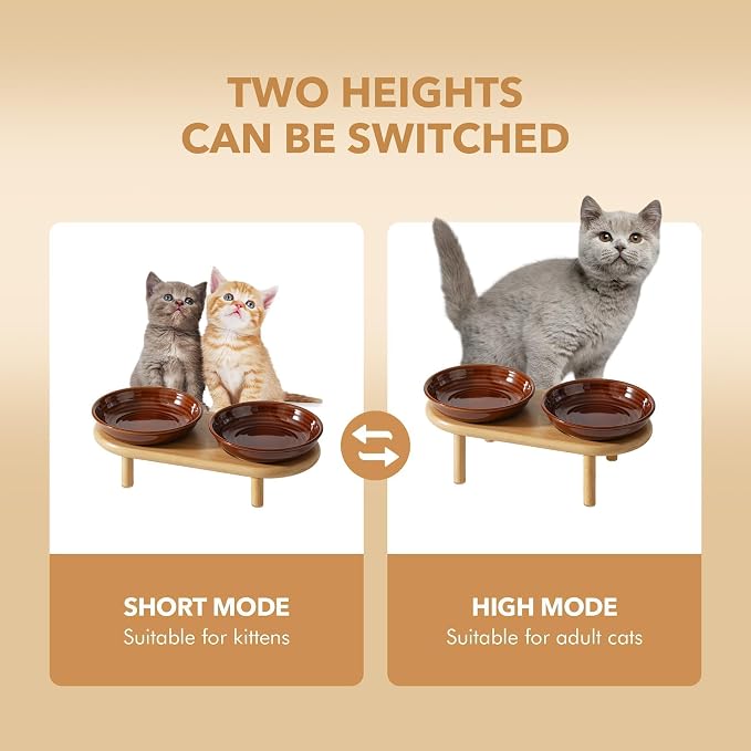 Havniva Elevated Cat Bowls, Ceramic Cat Bowl with Bamboo Stand Wide Opening | 5.7” Raised Cat Food Bowls, Whisker Friendly Cat Dish, Anti-Slip Cat Water Bowls, Shallow Cat Bowls, Cat Food & Water Bowl
