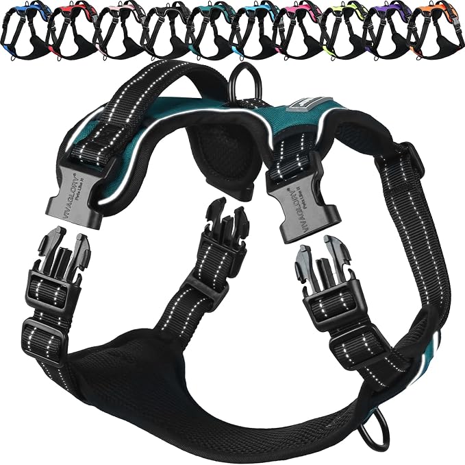 VIVAGLORY No Pull Dog Harness Vest Harness, M, Hunter Teal - Plain | with Handle Front and Back Clip for Training & Pulling, No Pull & Escape Proof Padded Adjustable for Pet Puppy