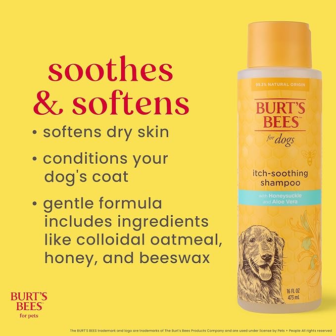 Burt's Bees for Pets Itch Soothing Dog Shampoo for Itchy Skin, pH Balanced Honeysuckle with Skin-Conditioning Honey, 95%+ Natural Origin Formula, No Sulfates, Fragrances, or Colorants, 16 Fl Oz - 6 Pk