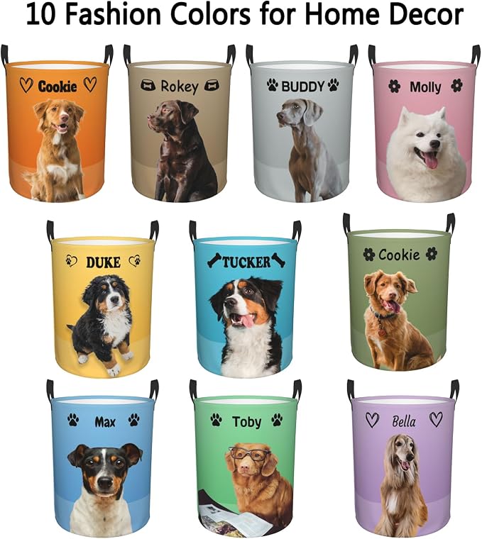 Personalized Large Dog Toy Storage Basket Bin Collapsible Custom Pet Stuff Box Chest Container for Living Room Organizer for Dog Toys,Dog Food,Blankets,Clothing (Lavender)