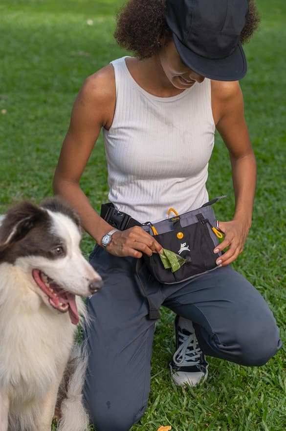 OllyDog Backcountry Day Bag | Dog Training Treat Pouch | Eco-Friendly Recycled Fabric Fanny Pack with Zipper Closure, Built-in Poop Bag Dispenser & Adjustable Waist Belt (Castle Rock)