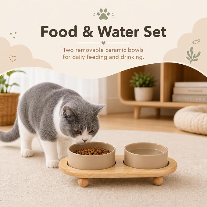 Havniva Raised Cat Bowl 5.1” Elevated Ceramic Cat Food and Water Bowl Set | Cat Bowls Elevated, Whisker Friendly Cat Bowl, Non-Slip Wood Stand, Food-Grade Ceramic, Wide Opening, Dishwasher Safe