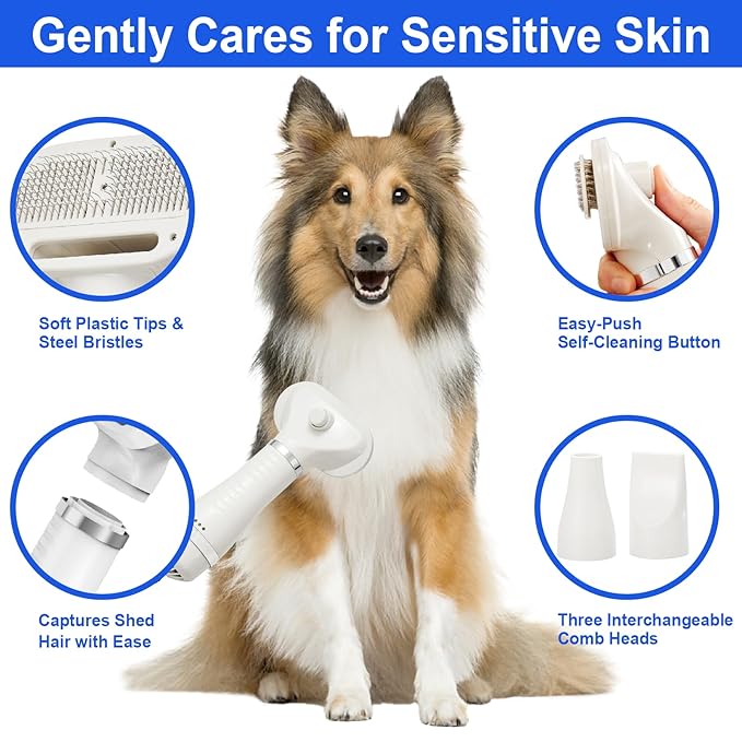 3-in-1 Pet Hair Dryer Brush for Dogs & Cats – Portable Blower & Slicker Brush, Adjustable Temperature, Overheat Protection