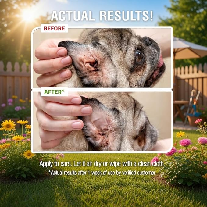 PetSilver Dog Ear Cleaner Solution – Gentle Ear Wash for Dogs and Cats with Chelated Silver – Otic Rinse Formula Targets Wax Buildup, Smelly Odor, and Itchy or Irritated Areas - Made in USA - 8 fl oz