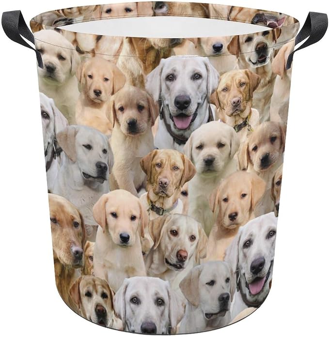 Labrador Dog Lover Gifts, Cute Labrador Print Laundry Basket, Dirty Clothes Basket, Foldable Waterproof Storage Basket for Bedroom Bathroom, Large Storage Basket for Labrador Mom Dog Owner