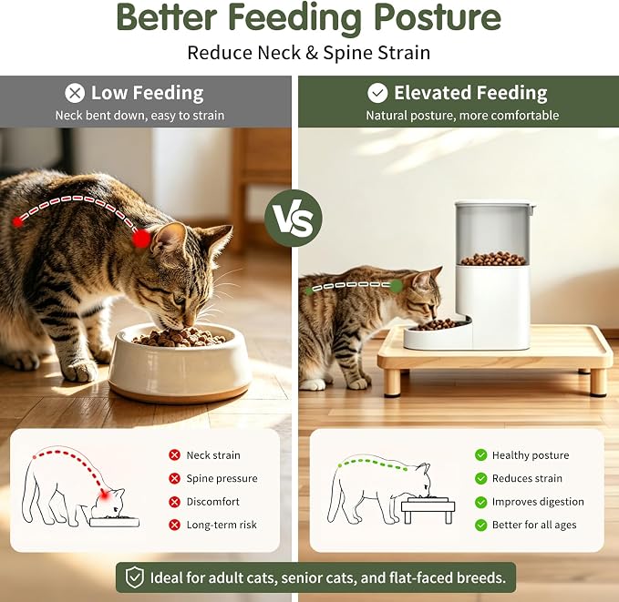 Cat Food Stand, Elevated Cat Feeding Station for Bowls & Feeders