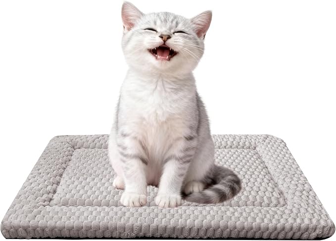 Dog Bed Mat - Dog Crate Pad - Reversible Mat for Pet Comfort - Soft Bed Crate Pads for All Seasons - Durable, Machine Washable Mat for Crates, Travel, and Home (Light Gray, 18" L*14" W*1.5" Th)