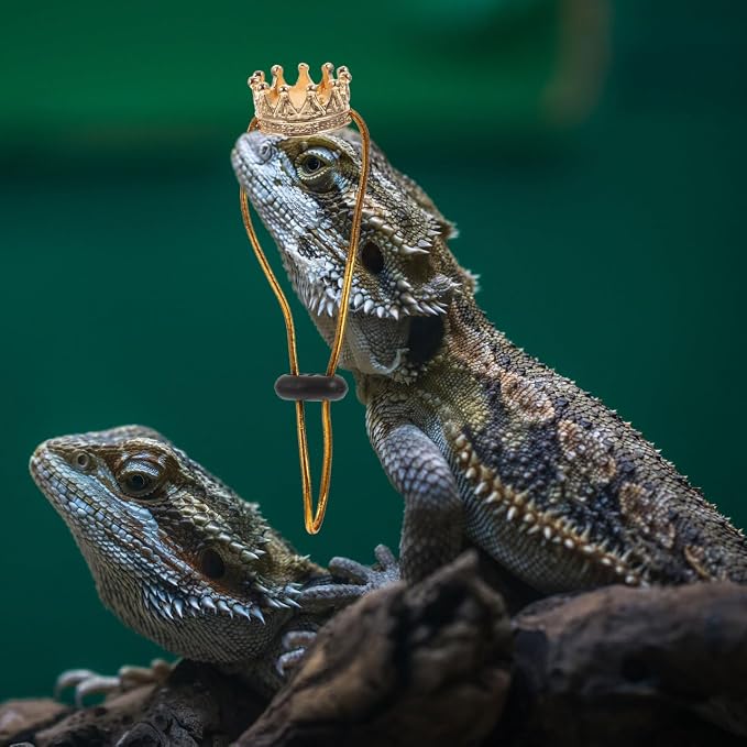 Lizard Clothes Accessories Reptile Crown Necklace with Chain Small Costume Hat for Bearded Dragon Snake Lizard Festival Photo Prop 0.98 X 0.98 X 0.51 in