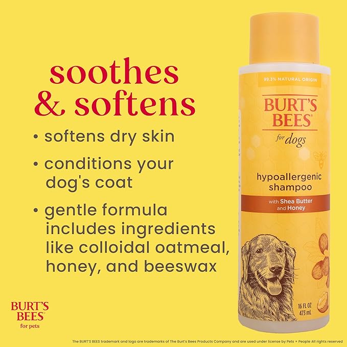 Burt's Bees for Pets Hypoallergenic Dog Shampoo with Shea Butter and Honey, Gentle Fragrance Free Shampoo for Sensitive Dogs with 95% Natural Origin Skin and Coat Formula, 16 Fl Oz