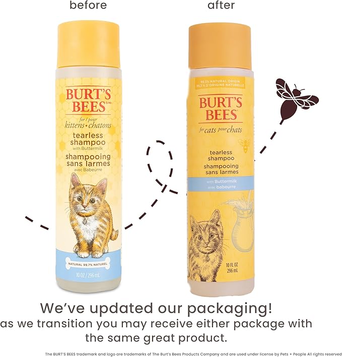 Burt's Bees for Pets Tearless Kitten Shampoo with Buttermilk and Honey, Gentle Cat Shampoo for Itchy Skin and Sensitive Coats, Easy Rinse Low Lather Formula, 99.3% Natural Origin, 10 Fl Oz
