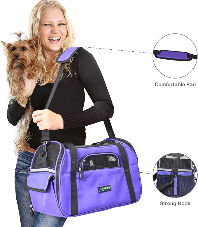 Jespet Airline Approved Soft-Sided Kennel Pet Carrier Travel Handbag | Lightweight, Foldable, Portable, Built-In Safety Leash, Luggage Sleeve, for Cats & Small Dogs, for Indoor & Outdoor
