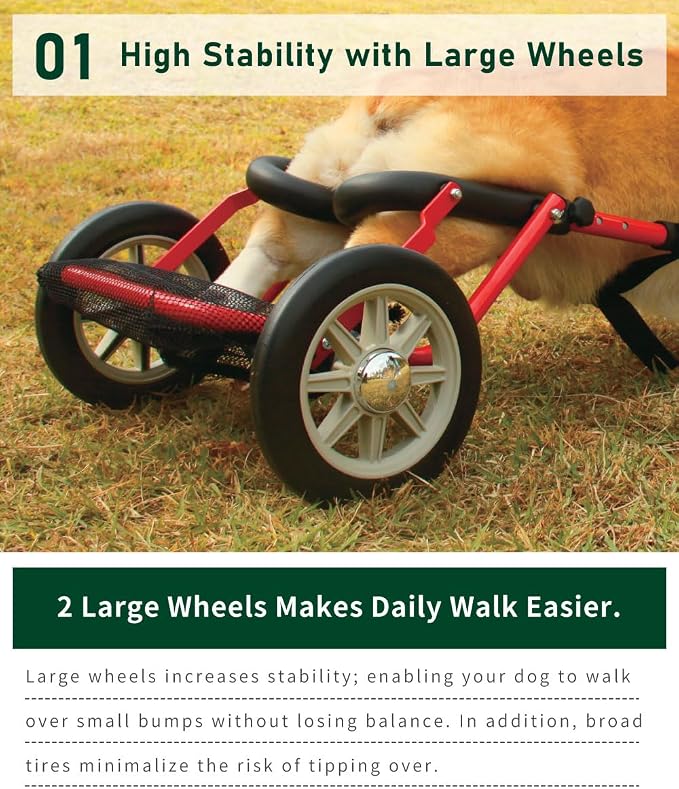 PaletteLife Corgi Dog Wheelchair for Back Legs, Adjustable Dog Cart with Wheels, Lightweight Rear Leg Mobility Support for Disabled, Injured & Senior Dogs