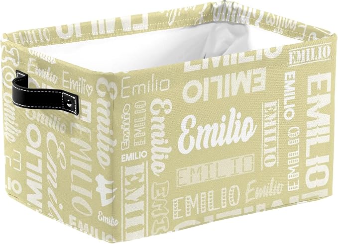 Personalized Toy Box Storage Bins for Boys Girls with Name, Kids Custom Storage Basket Cubes Organizer with Handles, Shelf Closet Storage Baskets Bin Customized Gift, 1 Pack