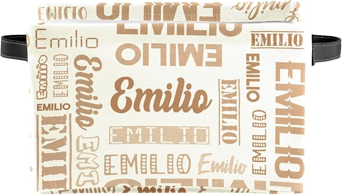 Personalized Toy Box Storage Bins for Boys Girls with Name, Kids Custom Storage Basket Cubes Organizer with Handles, Shelf Closet Storage Baskets Bin Customized Gift, 1 Pack