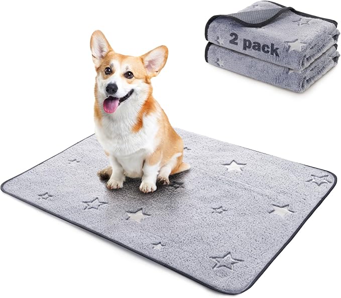 LOOBANI 18 x 24 Washable Pee Pads for Dogs 2-Pack for Playpen, Crate & Car | Super Absorbent, Non-Slip Backing, Soft Plush, Quick-Dry, Machine Washable, Reusable, Perfect for Crate & Car, Grey