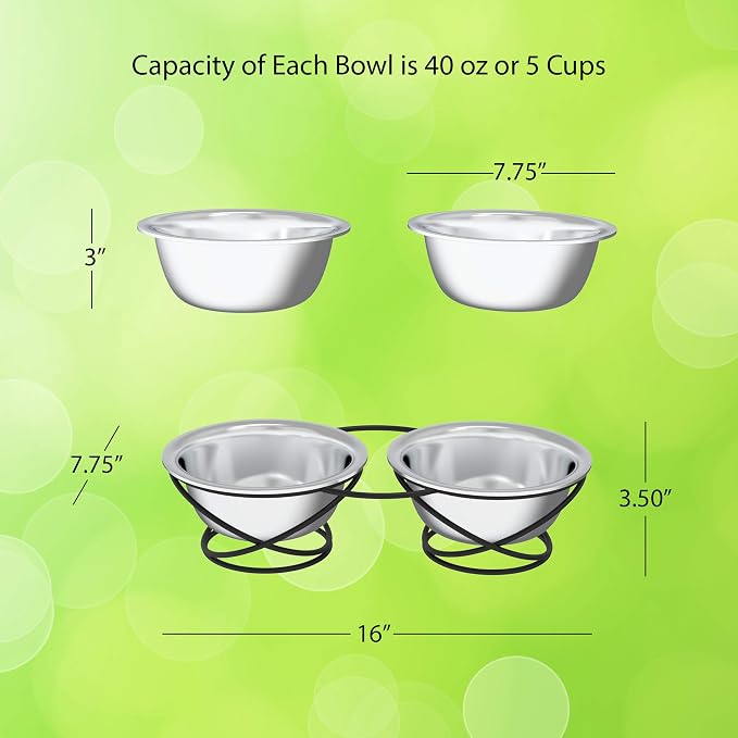 Set of 2 Stainless Steel Dog Bowls - 40oz Pet Bowls with Decorative Dog Food Stand - Metal Food and Water Dishes for Large Pets - Puppy Essentials by PETMAKER (Silver/Black)