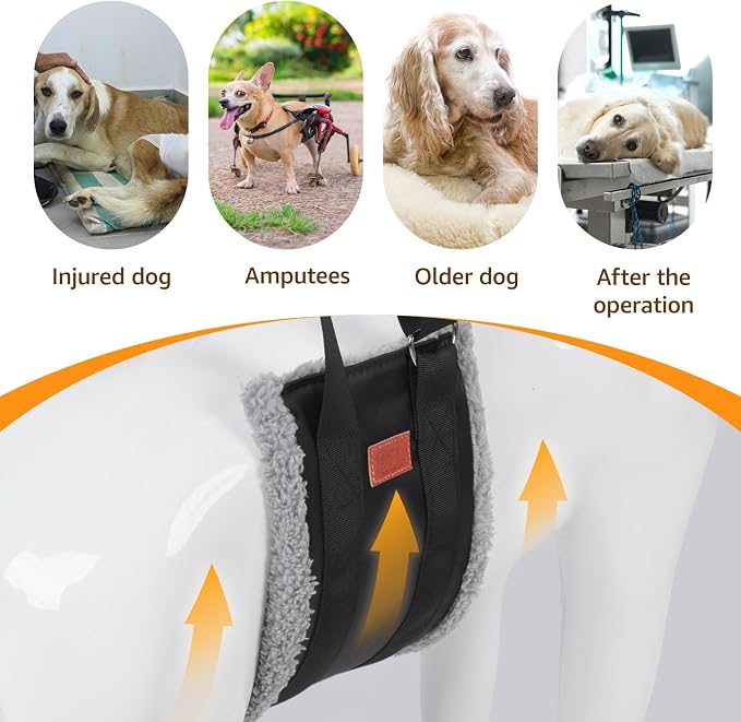 Adjustable Dog Sling for Large Dogs Hind Leg Support Weak Legs Mobility Aid | Dog Lift Harness, Helps Seniors, Injured, Disabled and After ACL Surgery Dogs, Daily Walk/ Stairs, Soft Padded, Easy to Use