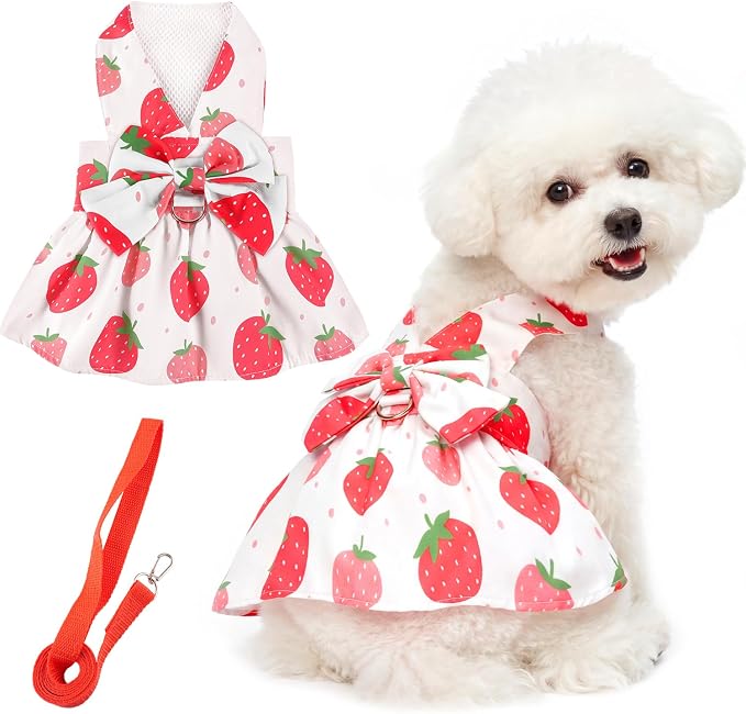 Dog Dress Harness Dresses Leash Set for Small Dogs Cute Girl Dog Clothes with Bowknot Puppy Outfits for Shih Tzu Yorkies Chihuahua