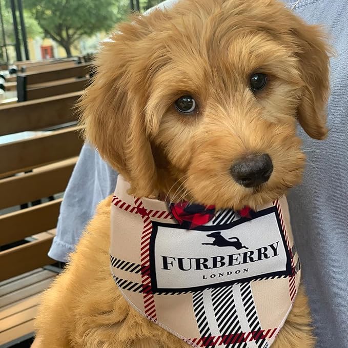 Dog Bandana Furry Plaid Designer Fashion Clothes Scarf kercheif for Small Medium and Large Dogs. Funny Parody Gift for Girl or boy Dog Soft Durable Fabric, Adjustable tie-on Style Triangle