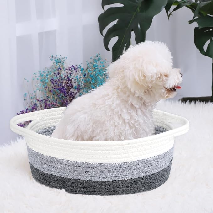 ABenkle Small Basket with Handles, Boho Decorative Rope Woven Dog Cat Toy Storage Bin Shelf Storage Organizer, Easter Christmas Gift Basket, 12"x8"x5"