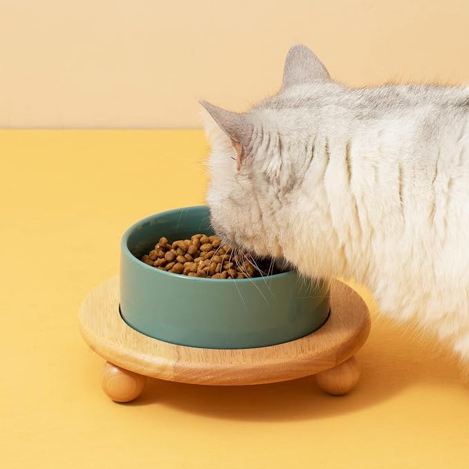 Havniva Raised Cat Bowl 6.1” Elevated Ceramic Cat Food and Water Bowl | Cat Bowls Elevated, Whisker Friendly Cat Bowl, Non-Slip Wood Stand, Food-Grade Ceramic, Wide Opening, Dishwasher Safe