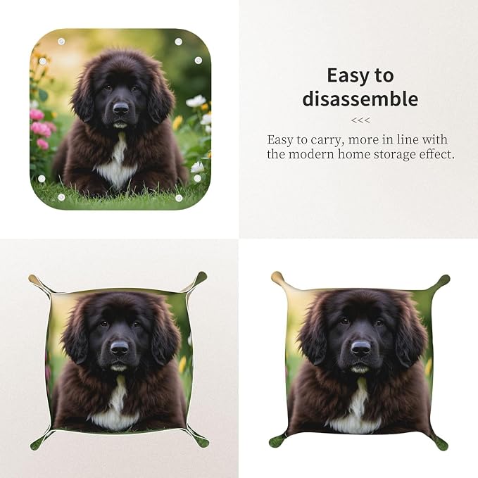 LeatherJewelry Valet Tray for Women Men, Portable Travel Catchall Tray Organizer Dish Plate Cute Pet Newfoundland Dog Bedside Vanity Tray Nightstand Caddy Holder for Wallet, Key, Coin